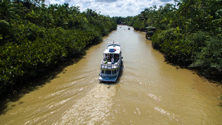 Amazon cruise