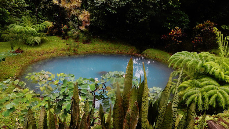 Costa Rica nature