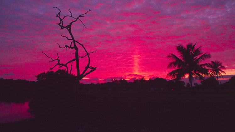 Oceanscape Everglades