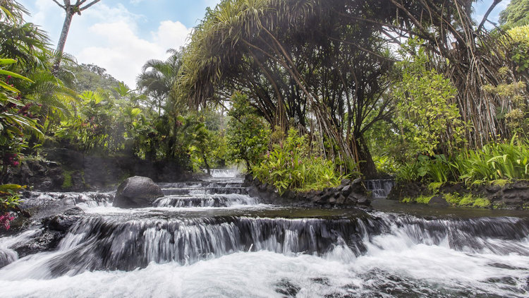 Tabacon Thermal Resort & Spa 