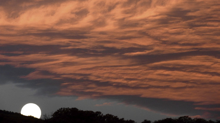 Morning Moonset with Apricot Clouds