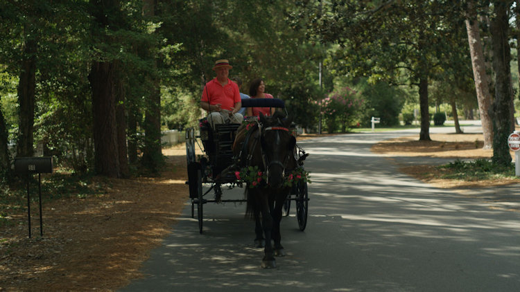Pinehurst horse buggy