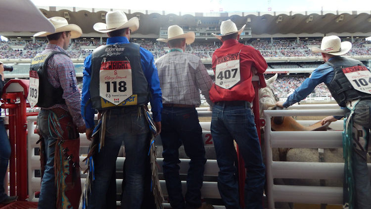 Calgary Stampede cowboys