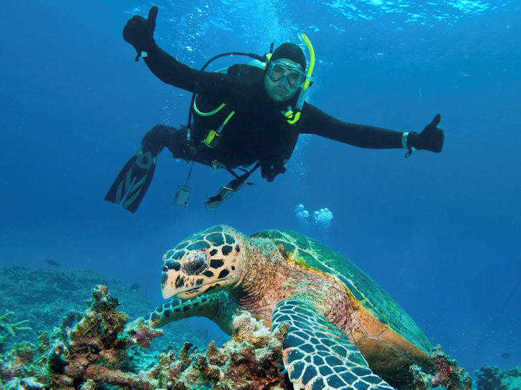 Australia diving