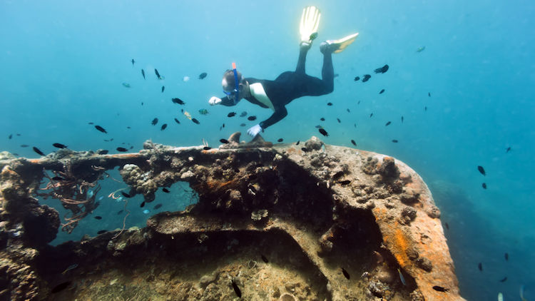 SS yongala diving