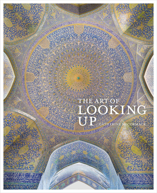 The Art of Looking Up 