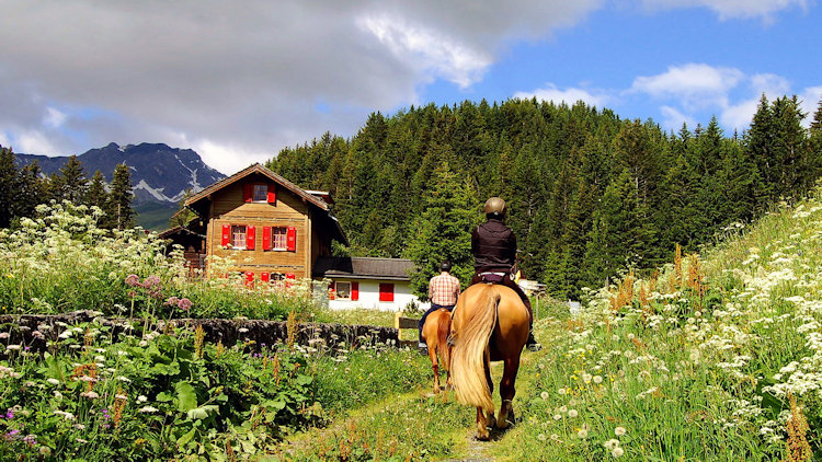 Arosa horseback riding