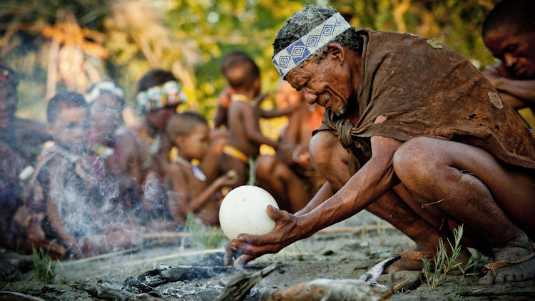 bushman experience botswana