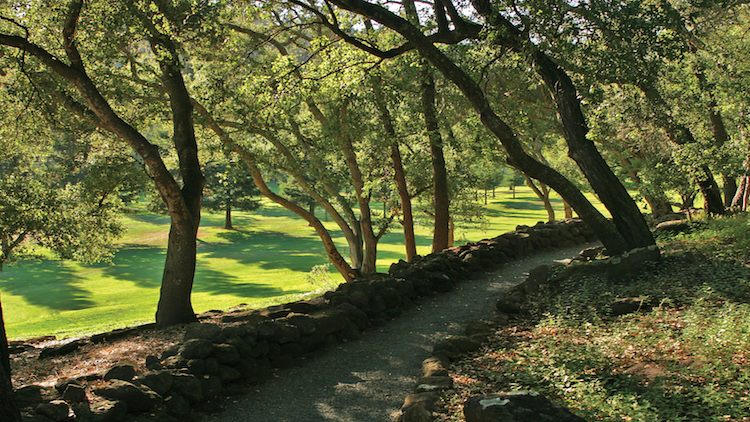 Meadowood resort