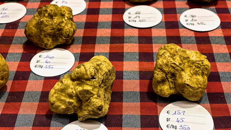 white truffles