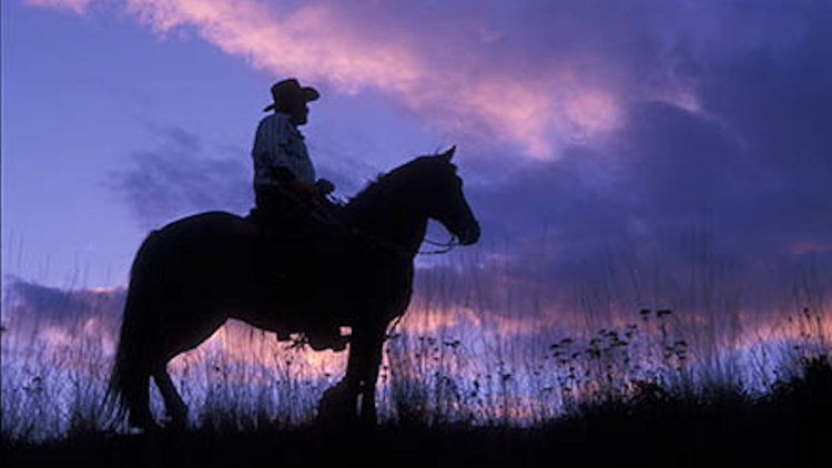 Guest Ranch