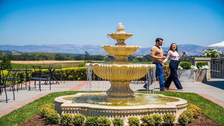 Domaine Carneros