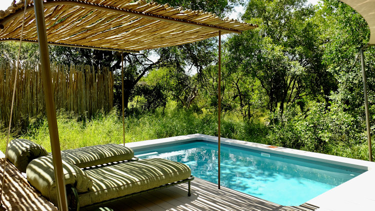 Saseka Tented Camp pool