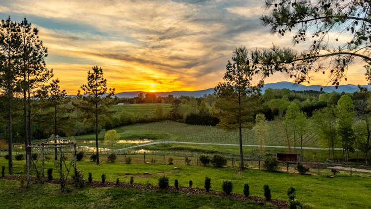 Parker-Binns Vineyard sunset