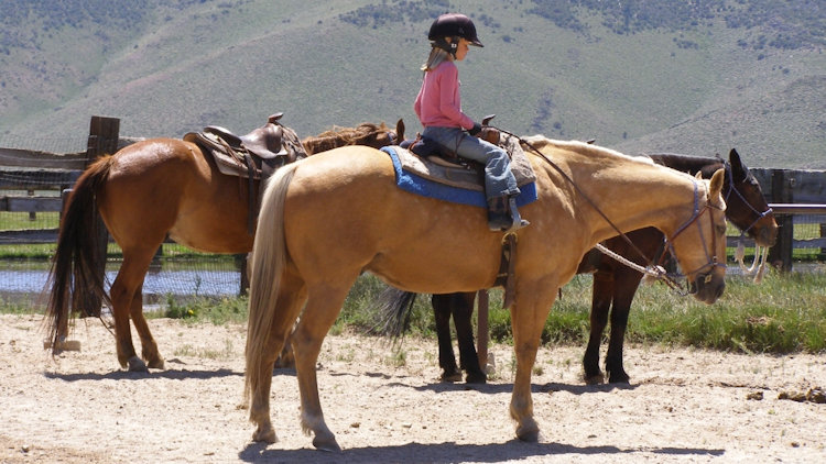 kids on ranch