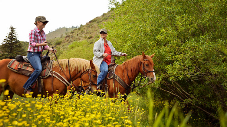 Dude ranch vacations