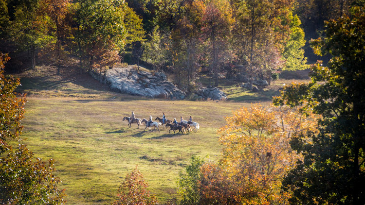 arkansas ranch vacation