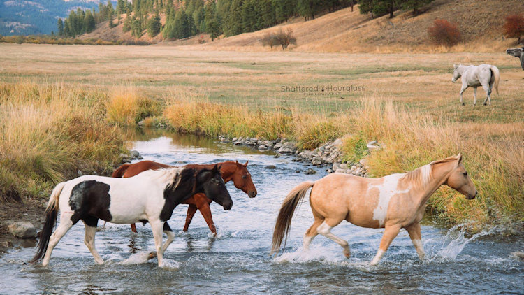 ranch vacation