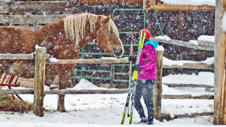 Winter ranch vacation