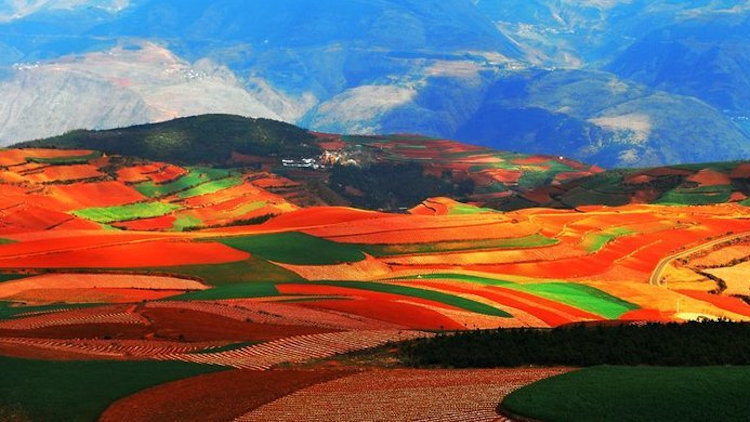 Red Land in Dongchuan
