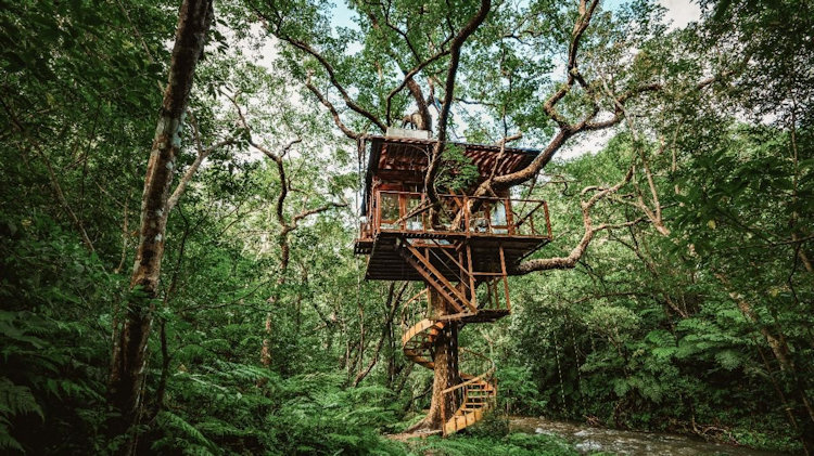 Treeful Treehouse EcoResort