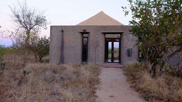 Sabi Sabi Earth Lodge