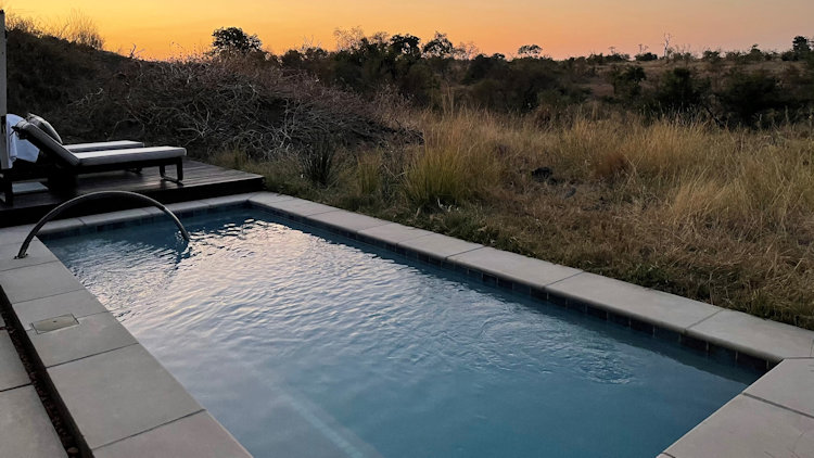 Sabi Sabi Earth Lodge pool