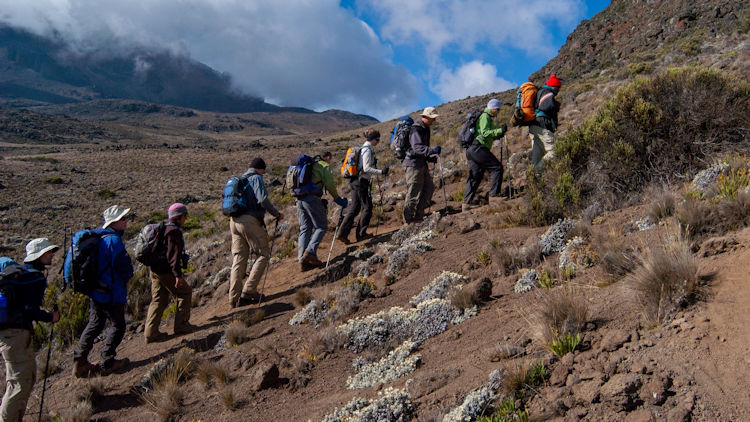 Kilimanjaro hikers