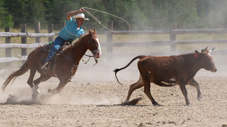 ranch vacation