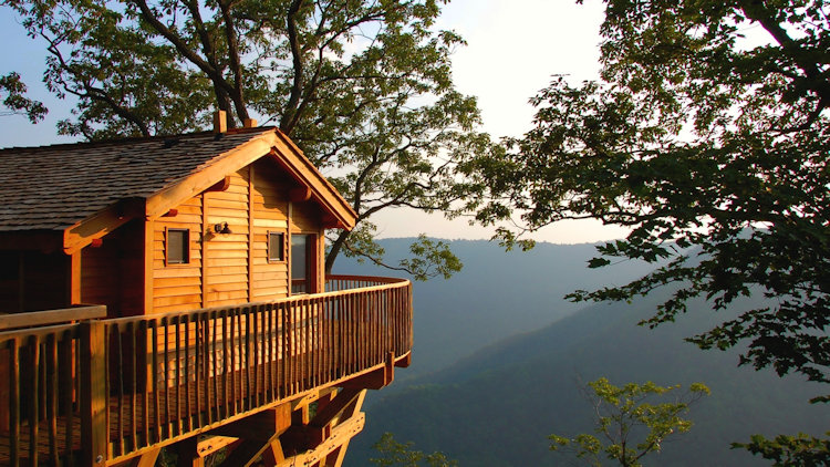 Primland treehouse