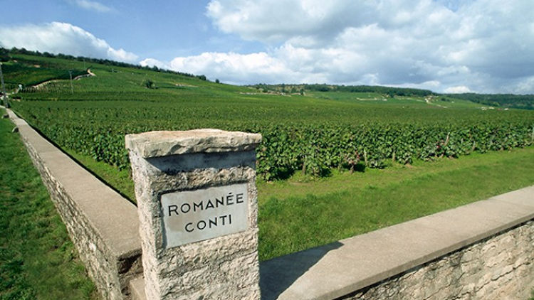 Burgundy France vineyard