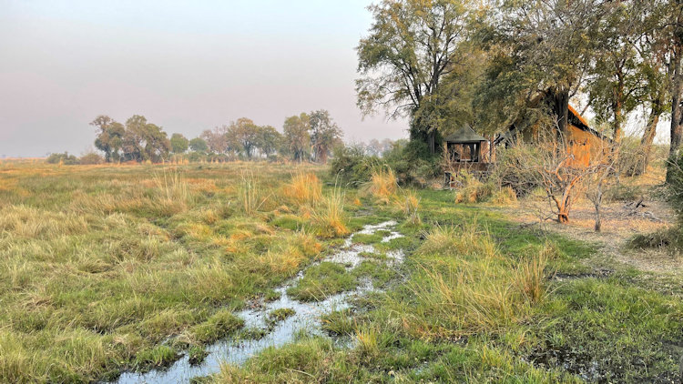 Duba Plains Camp