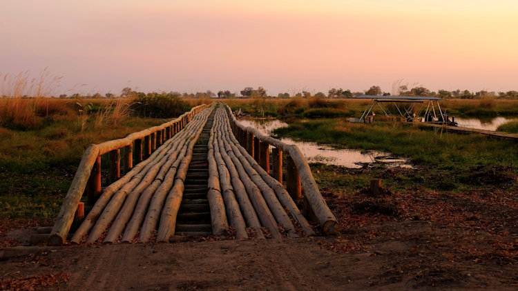 Duba Plains Camp 