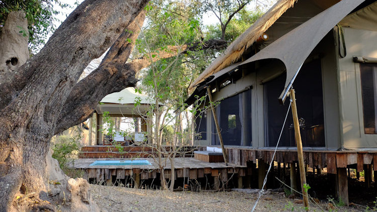 Duba Plains Camp 