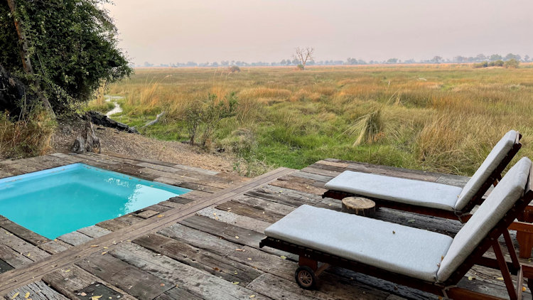 Duba Plains Camp 