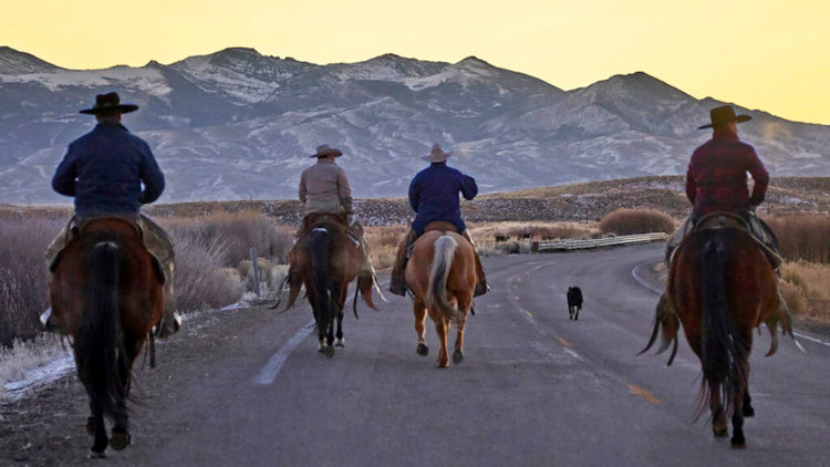 cowboy life