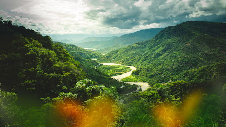 Amazon river peru