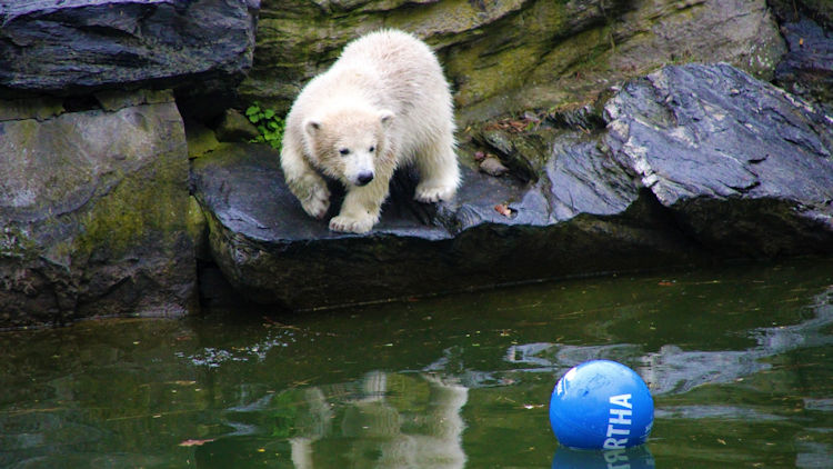 Tierpark Berlin