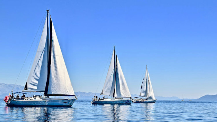 sailing yachts