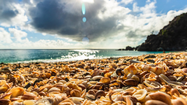 The Best St. Barts Beaches