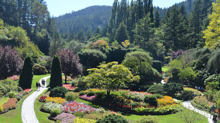 Butchart Gardens