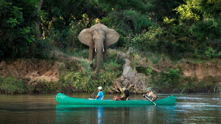 Lolebezi safari camp