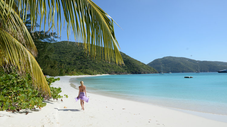 Guana island beach