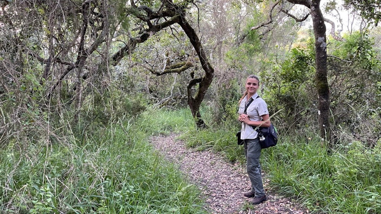 Grootbos Private Nature Reserve 