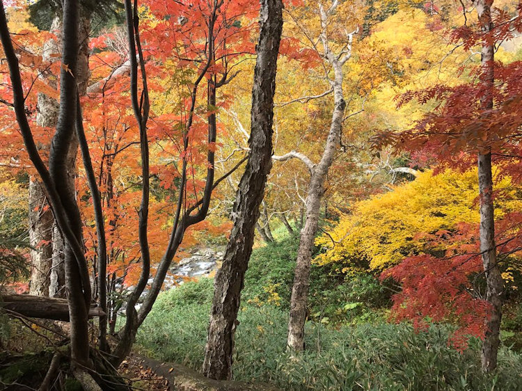 Hokkaido Japan