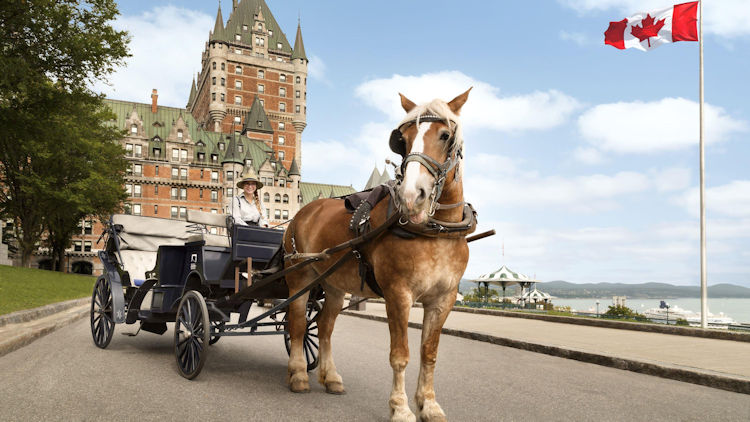 horse drawn carriage Quebec City