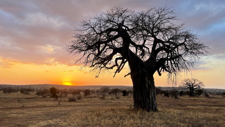 Lolkisale Camp sunset