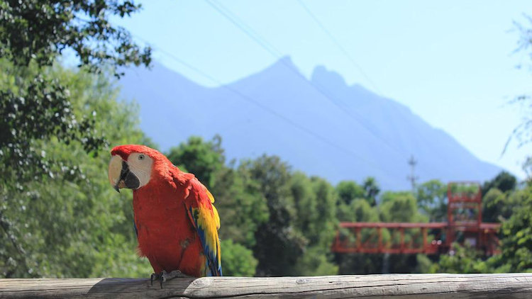 Cola de Caballo Park