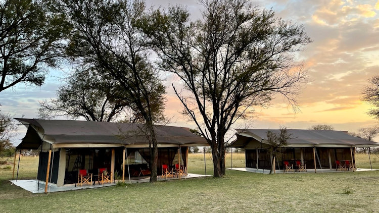 Serengeti Migration trip