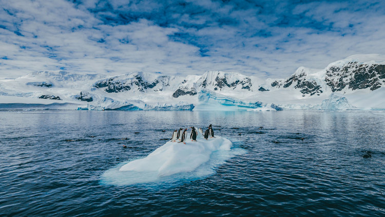Antarctica Landscape credit David Merron